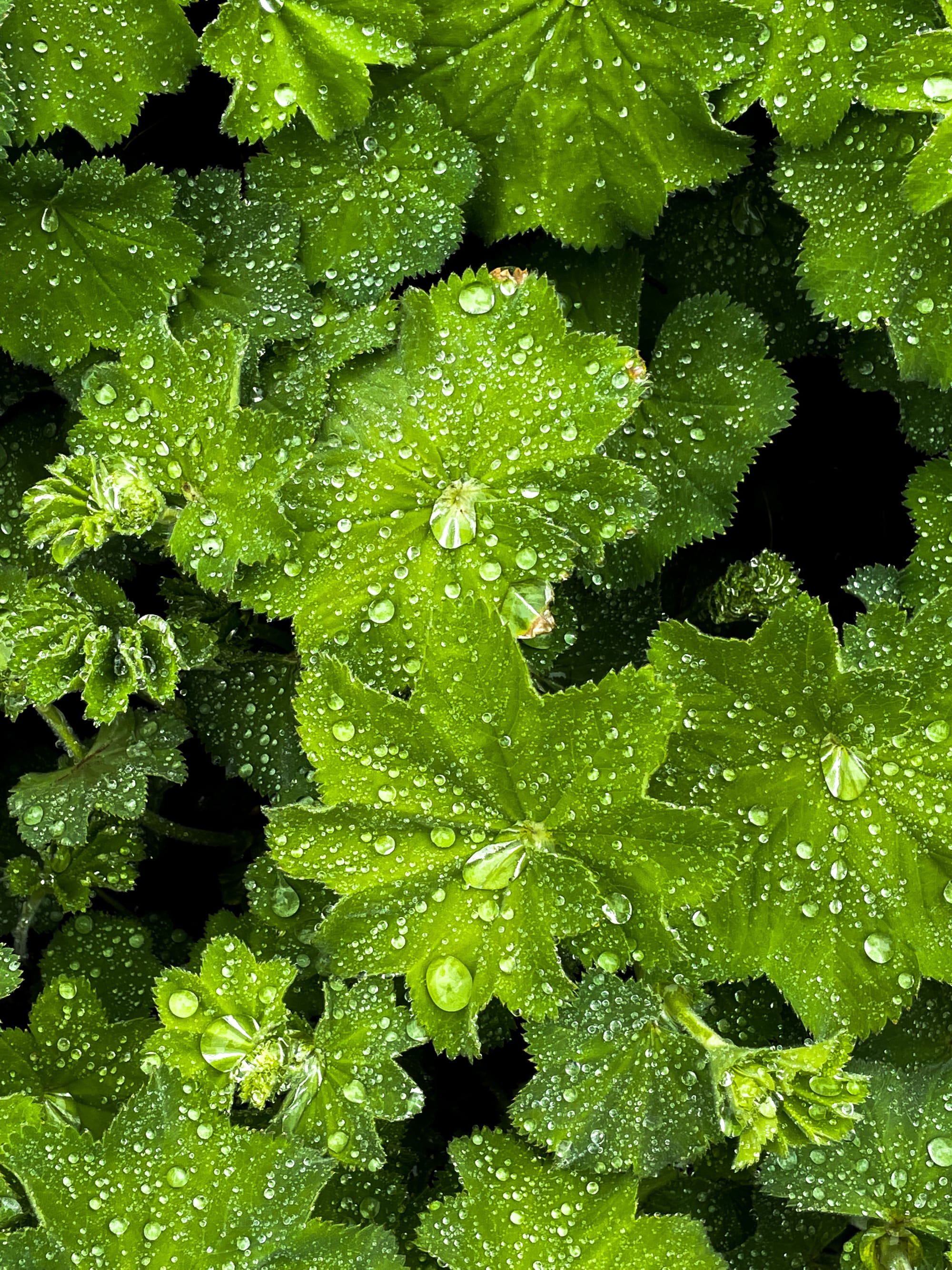 Meine Welt ist voller Details – vielleicht mehr, als du auf den ersten Blick sehen würdest. Beitragsbild